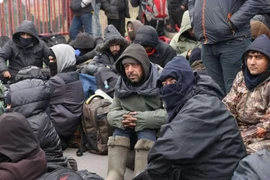Khủng hoảng di cư khu vực biên giới Belarus-Ba Lan. Ảnh: AFP 