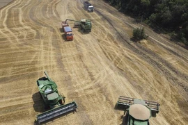Trung Quốc dỡ bỏ mọi hạn chế nhập khẩu lúa mì từ Nga giữa khủng hoảng Ukraine. Ảnh: SCMP