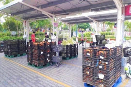 Một siêu thị tăng nguồn cung rau củ. Ảnh: THU HÀ
