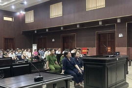Y án tù chung thân với tổng giám đốc Phát An Gia lừa bán đất, chiếm đoạt hàng trăm tỉ đồng