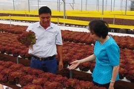 'Không biết bà Lan là ai nhưng chúng tôi rất ủng hộ'