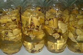 TP.HCM: 1 người tử vong vì uống rượu ngâm rễ cây
