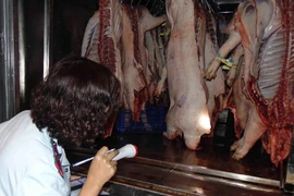 Thịt heo bệnh 'trốn' trong chợ Bình Điền vào 'mùa dịch tả'