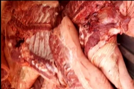 Chợ đầu mối Bình Điền suýt 'hứng' hàng trăm ký thịt heo bệnh