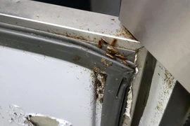 Gián làm tổ trong tủ bảo quản thức ăn