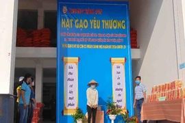 TP.HCM: Bà con quận 12 vui mừng vì có 'cây gạo' gần nhà