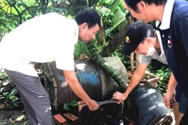 TP.HCM: Phát hiện lăng quăng, báo ngay y tế trực tuyến