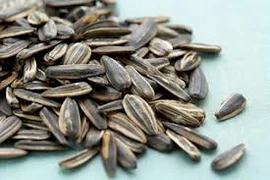 Gắp hạt hướng dương trong khí quản bé 13 tháng tuổi