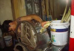 TP.HCM: Phát hiện nước mía nhiễm nấm men, nấm mốc