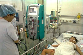 Bị ong chích 60 mũi, bệnh nhi suy đa cơ quan