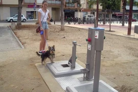 Toilet công cộng dành cho chó đầu tiên trên thế giới