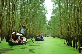 Về Trà Sư mùa nước nổi
