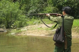 Dùng súng săn bắn chết người vì tưởng khỉ đang ngồi trên cây
