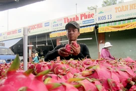 Nông dân 'ngậm trái đắng' vì nông sản rớt giá thê thảm