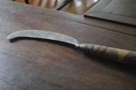 Đề nghị truy tố bị can trả thù giúp em, chém nhầm người khác