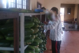 150 bị can, bị án tại trại tạm giam T20 chuẩn bị đi bầu cử 