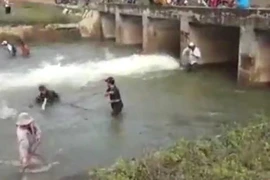 Hàng trăm người bắt cá dưới đập thủy lợi ở Bình Thuận
