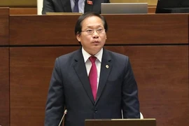 Phát hiện 27 cuộc tấn công an ninh mạng trong dịp APEC
