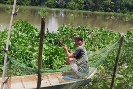 Vợ rơi xuống sông mất tích khi đi cùng chồng trên sông Vàm Cỏ
