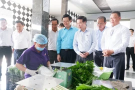 Thường trực Ban Bí thư khảo sát chương trình phát triển nông nghiệp ứng dụng công nghệ cao tại Long An
