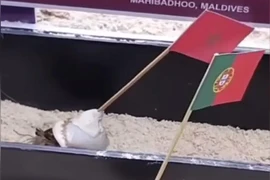 Xem Thánh Cua dự đoán trận thi đấu Marocco và Bồ Đào Nha