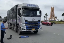 Long An: Tăng cường kiểm soát, xử lý xe quá khổ, quá tải và các hung thần trên tỉnh lộ