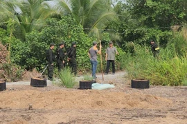 Kẻ giết người, cướp của ở Hóc Môn vẫn "bặc vô âm tín" trong cánh đồng 