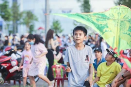 Tiền Giang rộn ràng mùa thả diều ở TP. Mỹ Tho