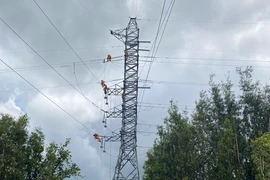 Đã khắc phục sự cố mất điện diện rộng tại Long An và Tiền Giang