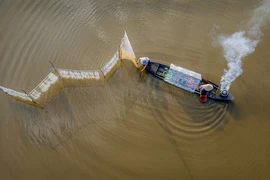 Nhiếp ảnh gia đua nhau về Long An săn ảnh nghệ thuật mùa nước nổi 