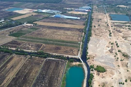 Gây ô nhiễm môi trường, Tòa tuyên phạt một Giám đốc ở Long An 800 triệu đồng