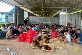 trường gà quy mô lớn