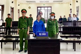 Cựu nữ kế toán xã lừa đảo gần 50 tỉ đồng