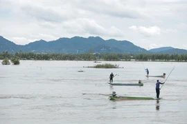 Người dân An Giang đổ xô đi bắt cá linh ở Cống Tha La