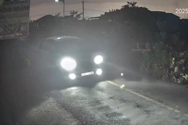 Camera ghi cảnh trộm đi ô tô 7 chỗ bắn chích điện bắt chó ở Tây Ninh