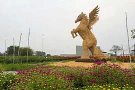 Vườn hoa Tết Tây Ninh nổi bật với linh vật ngựa rơm khổng lồ