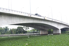 Điều tra nguyên nhân người đàn ông nhảy cầu Tân An xuống sông mất tích