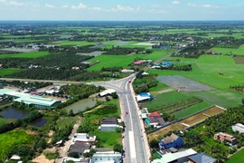 Tuyến đường Tân An - Bình Hiệp phá thế độc đạo Quốc lộ 62, khai mở dư địa phát triển Đồng Tháp Mười