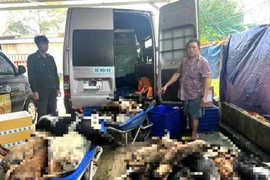 Bắt 9 nghi phạm chuyên trộm chó ở Tây Ninh đưa về TP.HCM tiêu thụ
