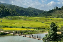 Khám phá Măng Đen - Lá phổi xanh của núi rừng Tây Nguyên
