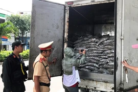 Bắt xe chở cá phế phẩm bốc mùi thối nồng nặc ở Đà Nẵng