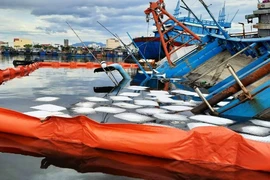 Hàng loạt tàu bị chìm ở khu phong tỏa vì chủ không thể vào bơm nước