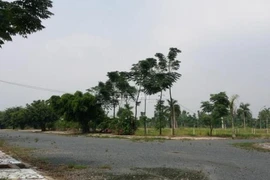 Thanh tra toàn diện Dự án khu dân cư Phi Long 5