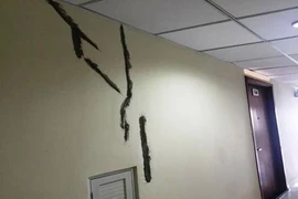 Sở Xây dựng yêu cầu sửa nhà cho cư dân Flora Anh Đào