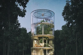 Nhà 4 tầng trong suốt nằm giữa rừng