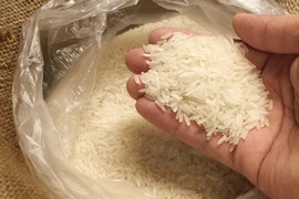 Đặt tủ lạnh và hũ gạo sao cho đúng phong thủy?