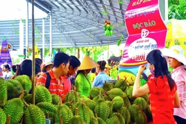 Đến Lễ hội Trái cây Nam bộ mua trái cây vừa rẻ vừa ngon