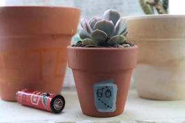 Nhiều người thích thú đi đổi pin lấy cây xanh