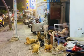 Nuôi nhiều chó gây ảnh hưởng hàng xóm, cần xử lý triệt để