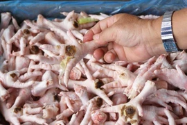 Chân gà Ba Lan liệu có tràn ra... quán nhậu?